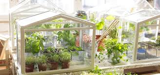 Home building greenhouses indoor greenhouse. Grow Fresh Herbs Veggies Indoors With A Tabletop Greenhouse Food Hacks Wonderhowto