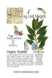 Maybe you would like to learn more about one of these? The Magickal Properties Of Bay Leaves 101 Magic Herbs Wicca Herbs Magickal Herbs