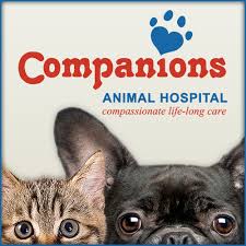 Call and ask to speak to the doctor. Companions Animal Hospital Home Facebook