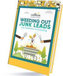 Weeding Out Junk Leads With Predictive Lead Scoring Guide Ebook Marketing Lead Generation Marketing Marketing Concept