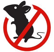 Do you pick up orphaned animals? Animal Removal In Chicagloland Crown Point In