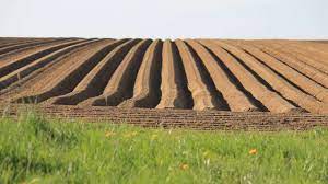 The row maker creates planting furrows by simply pulling the tool through worked soil. How To Make Rows In A Garden With A Tractor Tillers