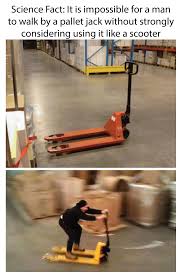 We did not find results for: How To Use A Pallet Jack Arxiusarquitectura