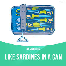The place is extremely crowded; Like Sardines In A Can Means A Large Number Of People In A Small Space Example At The Concert We Were P English Idioms Idioms English Language Learning