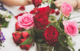 Even before you enter one of our hospitals, you can use this website to find information that can help you and your caregivers get ready for the time you'll spend with us. Gift Shop Hshs St Elizabeth S Hospital O Fallon Illinois