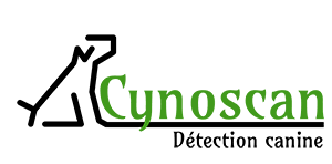 Maybe you would like to learn more about one of these? Expert En Detection Canine De Punaises De Lit A Paris Lyon Et Dijon