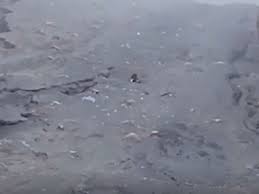 Gungun gupta ka mms viral