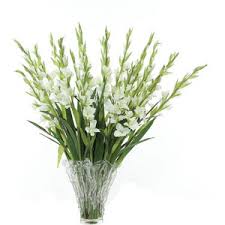 The genus convallaria includes a single. Eva Funeral Flowers Erich Springer Livejournal