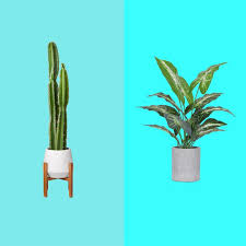 We did not find results for: 33 Best Artificial Plants 2021 The Strategist