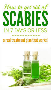 Close off places where pests can enter and hide. How To Get Rid Of Scabies The Ultimate Guide That Works Scabies Home Remedies Natural Healing Remedies Scabbies Treatment Natural Remedies
