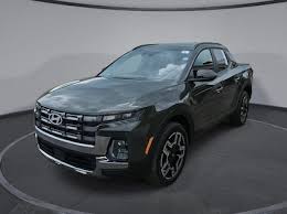 Image result for Rockwood Green 2025 Santa Cruz