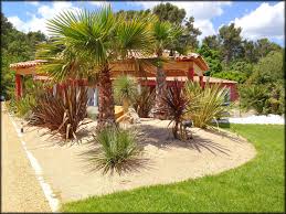Massif Exotique Amenagement Jardin Yucca Rostrata Paysagiste