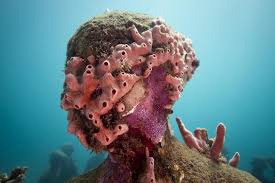 نتیجه جستجوی لغت [vicissitudes] در گوگل