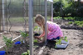 Biogreen bio green brast casa pura esschert design garden pleasure gardman gardol gartenfreude. Arcus Von Hoklartherm In Drei Stunden Zum Eigenen Gewachshaus