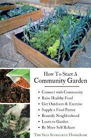 Finding or starting a community garden the best way to find a community garden in your area is through the website of the american community gardening association (acga), an organization that promotes community gardening throughout the united states and canada. How To Start A Community Garden The Self Sufficient Homeacre