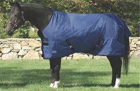 About Blanketing And Horse Clothing Dover Saddlery