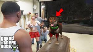 Check spelling or type a new query. I Found Chop S Girlfriend In Gta 5 Funny Youtube