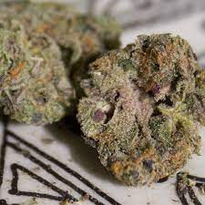 The gelato strain is ideal for producing feelings of creativity, euphoria, happiness, and relaxation. Strain Review Banana Gelato By Backpack Boyz The Highest Critic