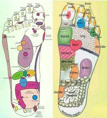 Foot Reflexology Pressure Points For Massage And Or