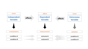 This location is used to hold the value of the variable. Learn About The Different Types Of Variables In An Experiment