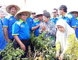 Strategi Produksi Hortikultura Di Masa Perubahan Iklim Republika Online