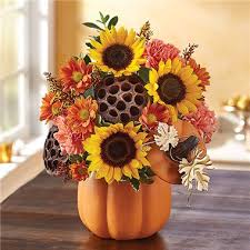 The city boasts of its growing economy, its brucemore cutting gardens 2160 linden drive southeast. Flowerama Hashtag On Twitter