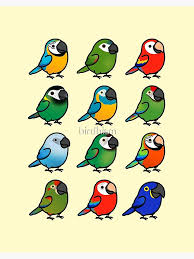 Decoración: Guacamayo Spix