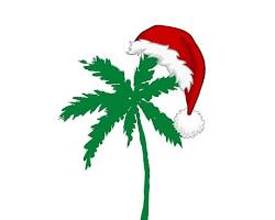 Image of palm tree with a Santa hat
