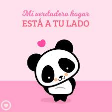 Lindo Panda Kawaii De Amor Panda Kawaii Kawaii Logotipo De Postres