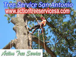 Http Www Actiontreeservicesa Com