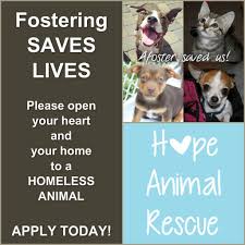 Already have children in your home or not. Foster Care In Scotland County Nc Edukasi News