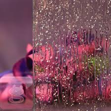 Waukesha Shower Door Glass Krystal Rain Milwaukee Replacement Windows Doors Custom Mirrors Custom Cu Shower Doors Glass Shower Bathroom Shower Design