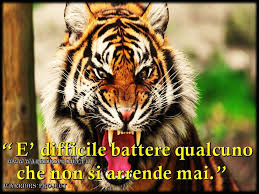 Www Warriorsproject It Citazioni Aforisma Frasi Coaching Parole Frasi Aforismi Citazioni Massime Pensieri Tempo Faccia Di Tigre Gatto Grande Animali