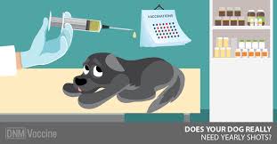 Check spelling or type a new query. Annual Dog Vaccines Are They Necessary Dogs Naturally