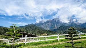 Explore tourist attractions and things to do in kundasang today, this week or weekend. 7 Things To Do In Kundasang Sabah In 2019