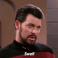 Swell William Riker GIF