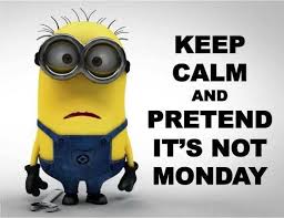 Image result for it's monday