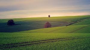 Residents living in america's five most populated cities received $18 million in farm. The 5 Biggest Farms In World Herdsy Com