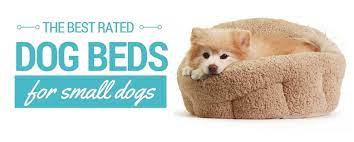 Check out our recommendations to choose a washable dog bed for your canine friend. 6 Best Dog Beds For Small Dogs 2021 Reviews Petite Canine Comfort
