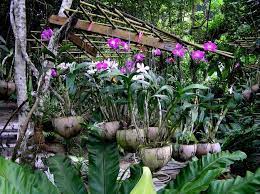 Pin On Garden Love