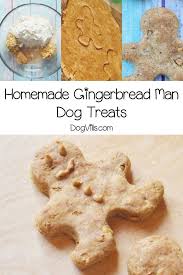 Homemade Gingerbread Man Dog Treats Recipe Dogvills Recipe Healthy Dog Treats Homemade Dog Treats Homemade Easy Dog Treats