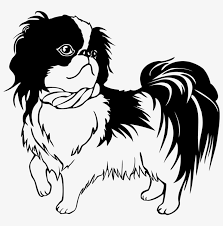 Shih Tzu Japanese Chin Puppy Line Art Drawing Dog Shih Tzu Clipart Transparent Png 796x750 Free Download On Nicepng Follow the tutorial and learn how to draw a shih tzu dog easy. shih tzu japanese chin puppy line art