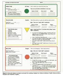 The name of the medicines and how to take them. Symptom Monitoring In Childhood Asthma How To Use A Peak Flow Meter Pediatric Annals