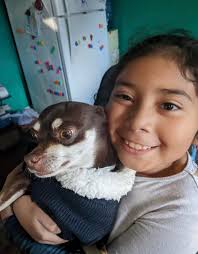 My dog fez has been missing for almost a week and still isn't home please  contact me if you see him 2562778988