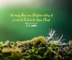 70 powerful jesus quotes and teachings. 22 Jesus Christ Quotes To Lift You Up Sayingimages Com