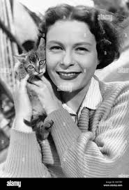 Gattino all'aperto Foto e Immagini Stock in Bianco e Nero