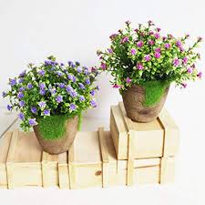 Check spelling or type a new query. Outlet Sale Urijk Realistic Artificial Plants Fake Eucalyptus Branches Grass Greenery Plastic Shrubs Outdoors Home Table Kitchen Office Wedding Garden Grave Decorations Blue Purple 2pcs 16cm Kitchen Home Official Quality Pagani Brainrealestate It