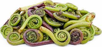 It's also important to harvest just a few fiddleheads in a cluster or the fern could die. Fiddlehead Ferns Information Recipes And Facts