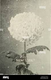 E g henderson hi-res stock photography and images - Alamy