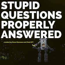 Amazon.co.jp: Stupid Questions Properly Answered : Nuno Meneses and Chat  GPT: 洋書